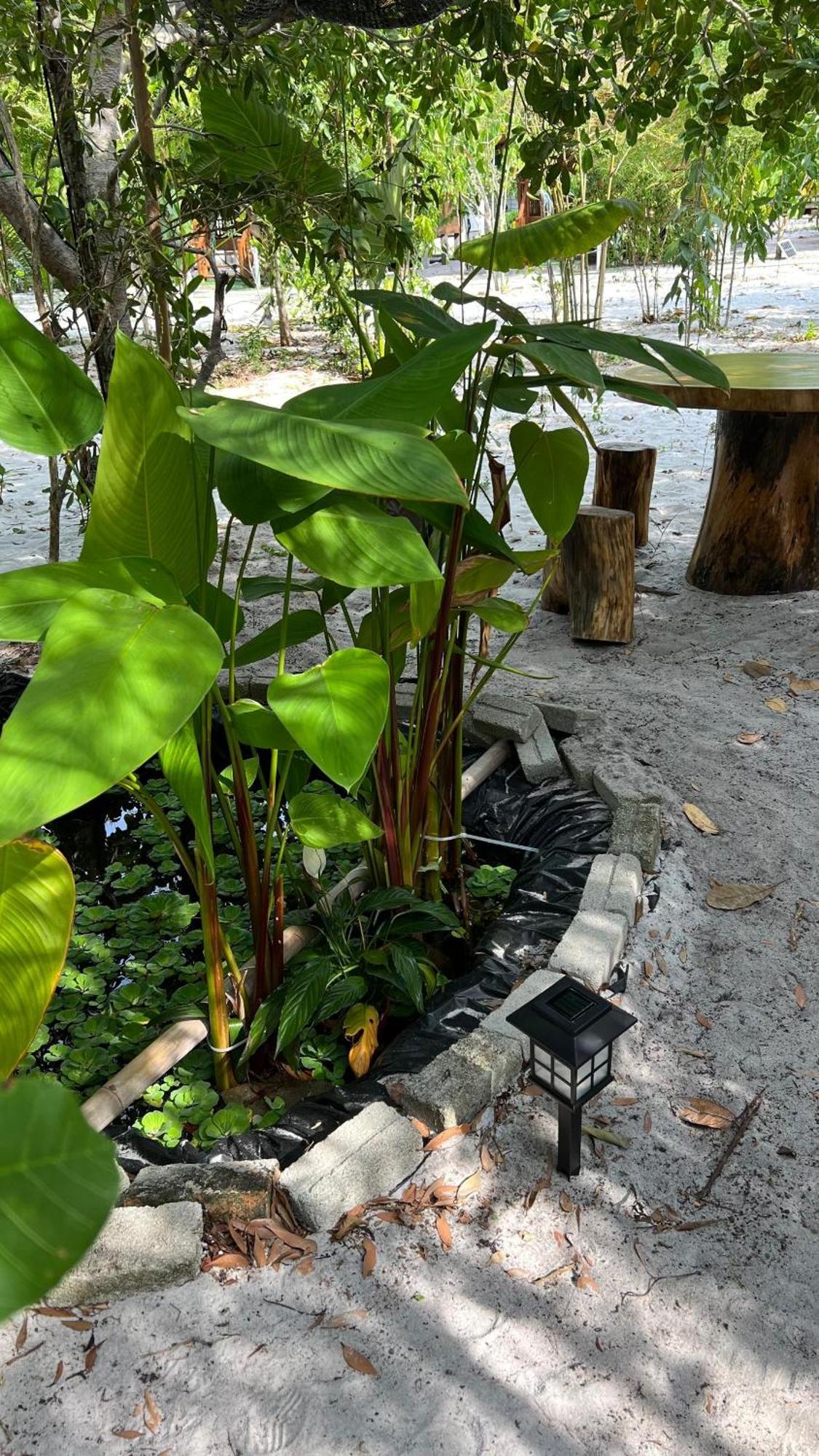 Golden Chenang Village Pantai Cenang  Luaran gambar